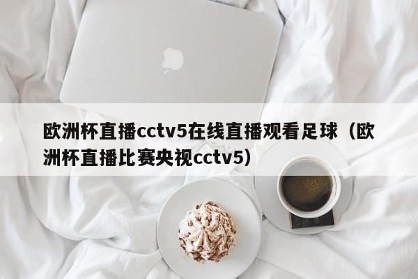 欧洲杯直播cctv5在线直播观看足球（欧洲杯直播比赛央视cctv5）