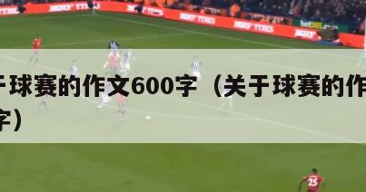 关于球赛的作文600字（关于球赛的作文500字）