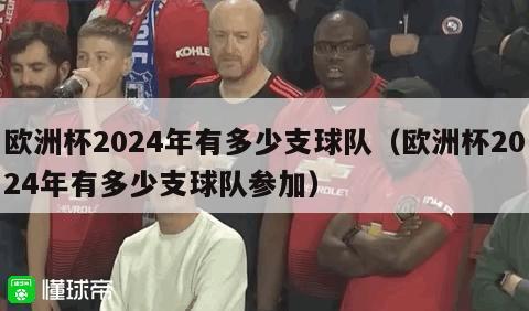 欧洲杯2024年有多少支球队（欧洲杯2024年有多少支球队参加）