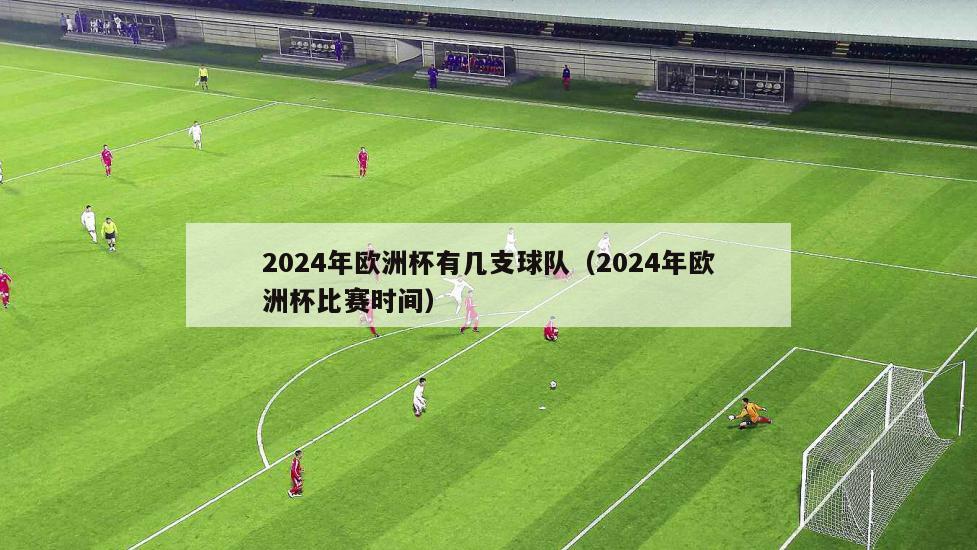 2024年欧洲杯有几支球队（2024年欧洲杯比赛时间）